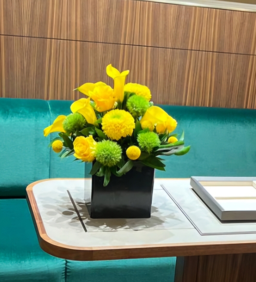 Modern Pot arrangement