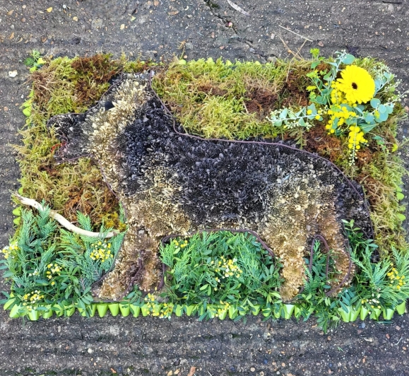 Funeral flowers German Shepherd Dog on base made of greenery and moss by Croydon Blooms Florist
