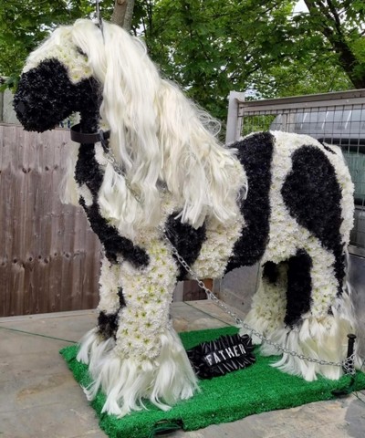 large scale bespoke 3D pony, real size by Croydon Blooms Florist
