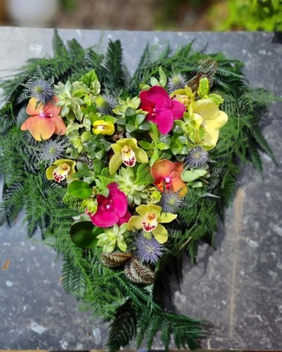 Solid heart with planted succulents, cymbidium orchids, phanelopsis orchid, thistle and woodland foliage. By Croydon Blooms Florist