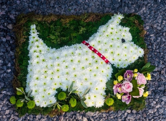 funeral flowers dog tribute
