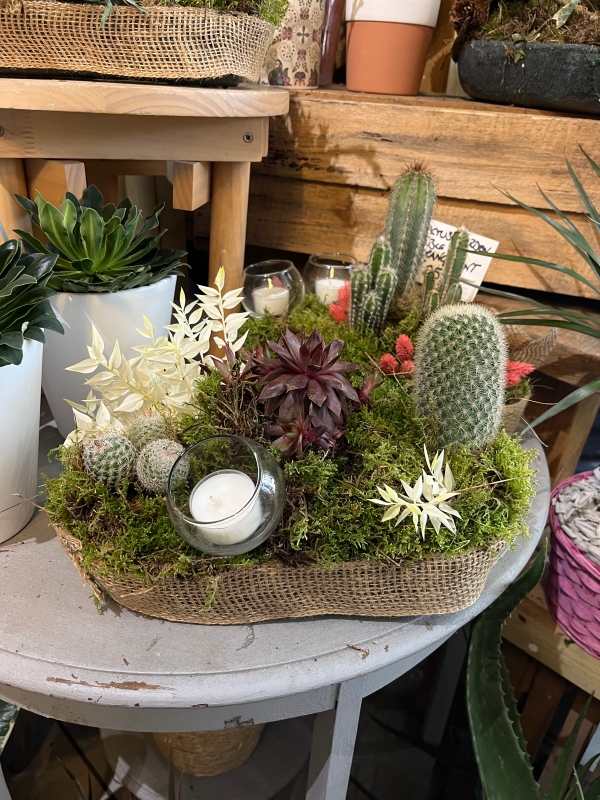 30cm long oval indoor planter made on moss with mini cactus with glass candle holders and decorated with dry elements.  lovely gift for a side table to enjoy for a long time.  planter will be gift wrapped in cellophane and tied with a silk bow and personal message attached. Made by florist in Croydon 