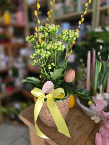 Kalanchoe Easter planter gift