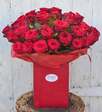 Big red roses bouquet 