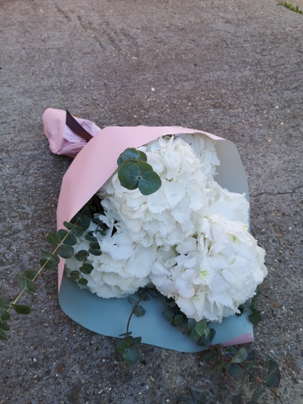 white hydrangea flowers with eucalyptus wrapped in eco paper from Croydon Florist