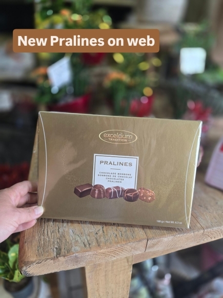 180g chocolate Pralines box
