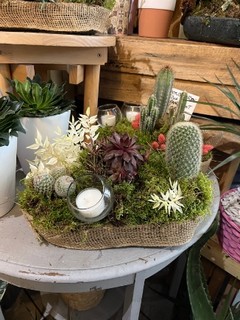 30cm long oval indoor planter made on moss with mini cactus with glass candle holders and decorated with dry elements.  lovely gift for a side table to enjoy for a long time.  planter will be gift wrapped in cellophane and tied with a silk bow and personal message attached. Made by florist in Croydon 