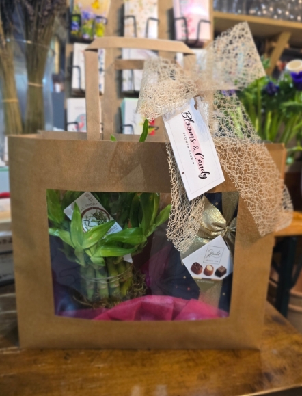 Bamboo planter with Belgian chocolates gift set by Croydon Blooms Florist 