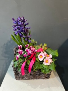 Selection of spring bulbs in lovely wicker basket, please notice plants colours and types might vary, please give us a call directly to check availability of the plants. By florist in Croydon for same day delivery in CR0 CR2 CR5 CR7 CR8 SE25 SE16 BR4 CR00 CR9 East Croydon, West Croydon 